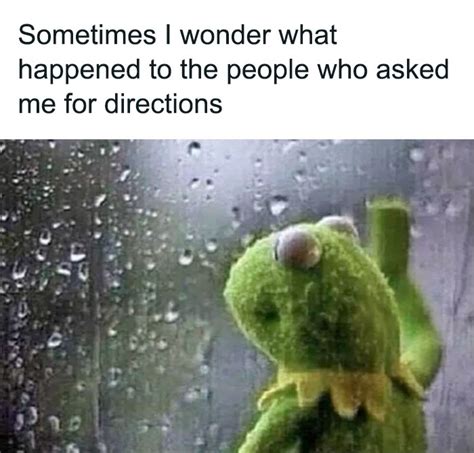 55 Kermit The Frog Memes That Might Make Your Day