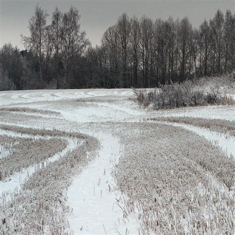 Snowy Field Photograph By Jouko Lehto