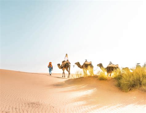 Sahara Desert Tour Incredible Desert Tour In Morocco 3 Days