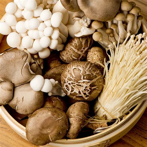 A Guide To The Most Common Types Of Mushroom
