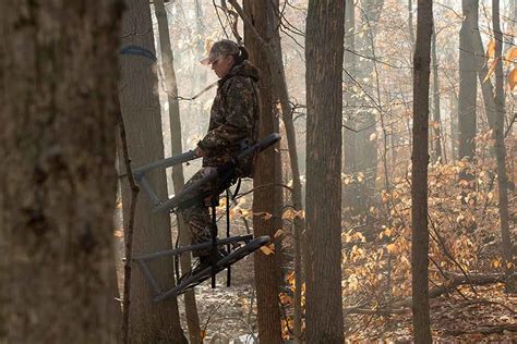 The 11 Best Climbing Tree Stands For Rifle Bow Hunting 2020