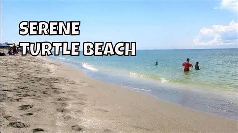 Turtle Beach Siesta Key Youtube