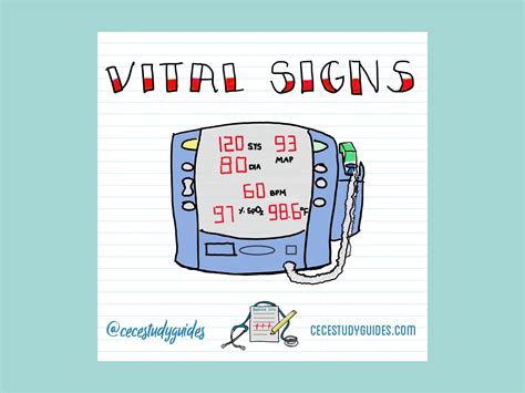 Vital Signs Nursing Notes And Study Guides By Cece