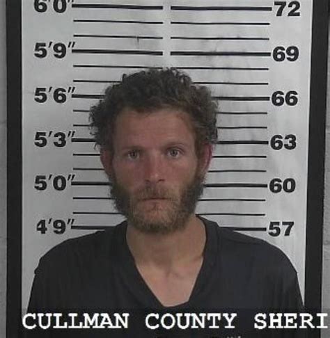 CCSO Makes Multiple Drug Arrests The Cullman Tribune