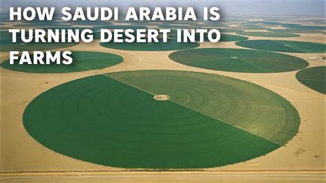 How Saudi Arabia Is Turning Desert Into Huge Farmlands Youtube