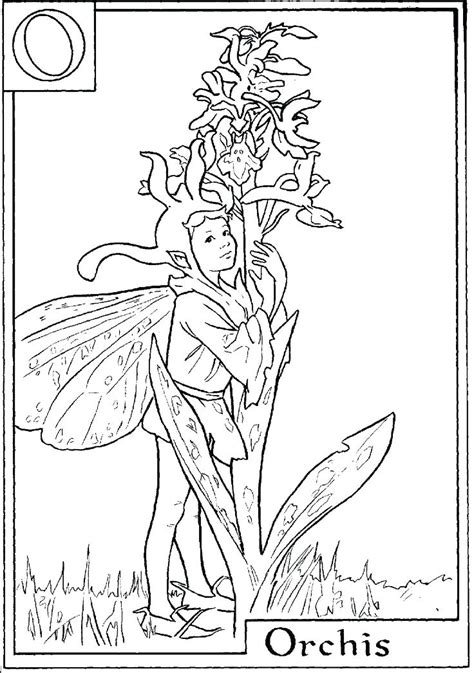 Https://tommynaija.com/coloring Page/fairies Coloring Pages Free Printable
