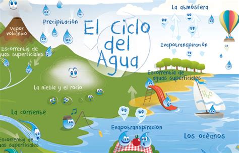 Ciclo Del Agua En Ingles Y Español Para Niños Hábitos De Niños