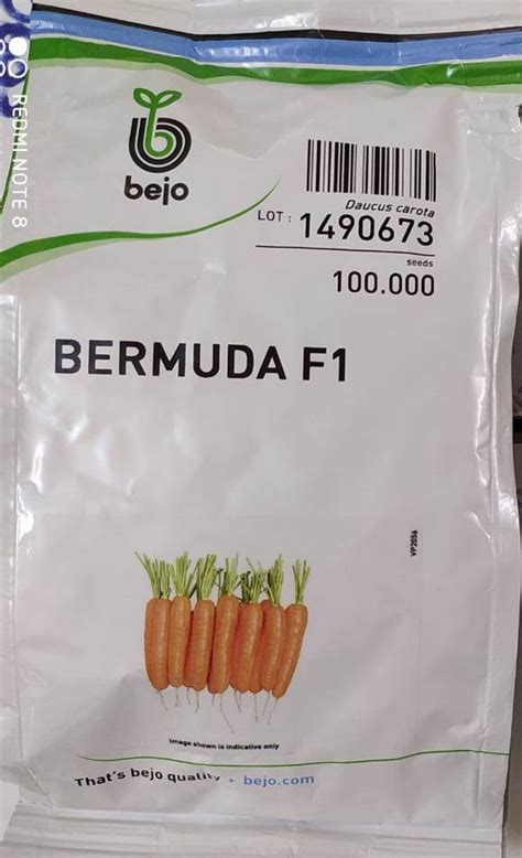 Bermuda Bejo Hybrid Carrot Seeds