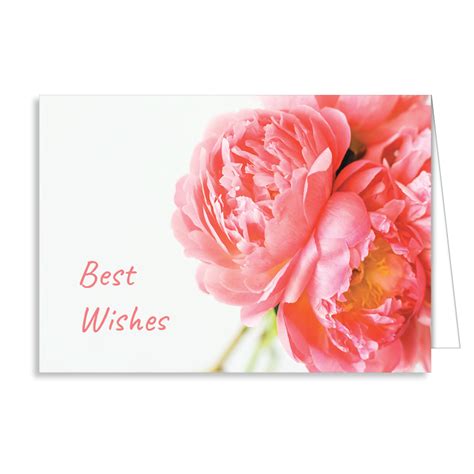 Best Wishes Greeting Card Greeting Cards Beatričės Gėlių Namai