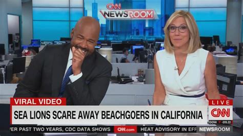 cnn anchor laughs so hard that he can hardly speak after showing the viral video trending news