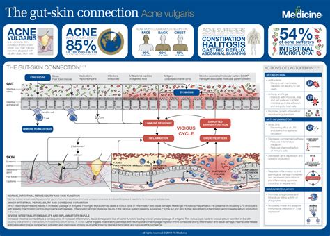 The Gut Skin Connection Fx Medicine