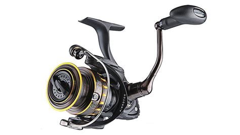 Daiwa BG Spinning Reel Review Wired2Fish Com