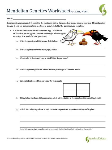 Mendel And Heredity Worksheet Answers