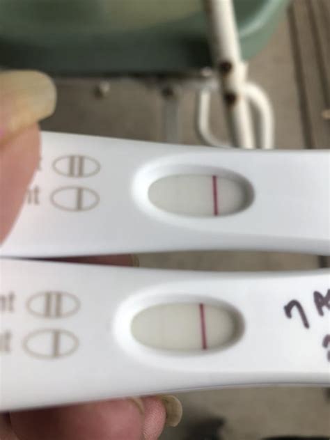 False Positive First Response Pregnancy Test Positive First Response