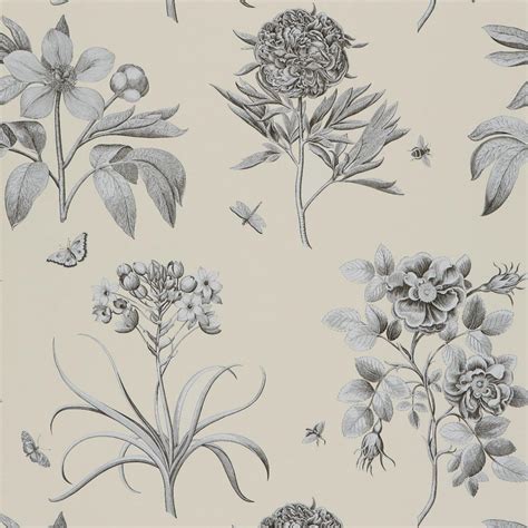 Etchings And Roses Wallpaper Ivory Dpfwer106 Sanderson Parchment