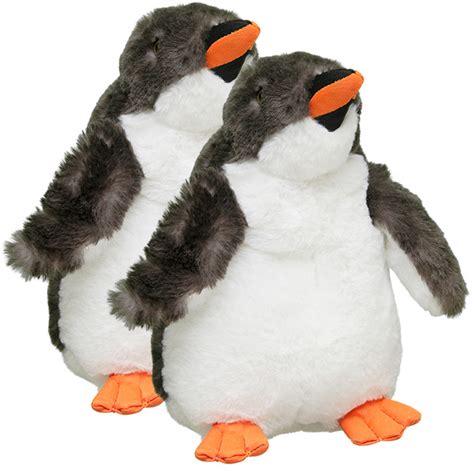 Adopt A Gentoo Penguin Chick Symbolic Adoptions From Wwf