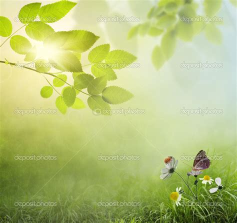 Natural Green Background Stock Photo By ©krivosheevv 49798931