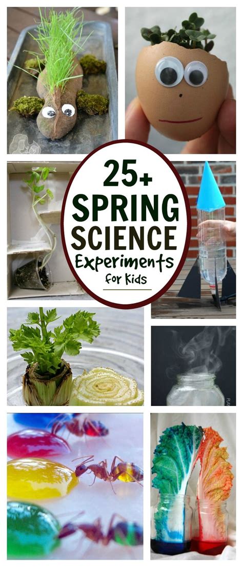 82 Best Spring Storytime Images On Pinterest Story Time