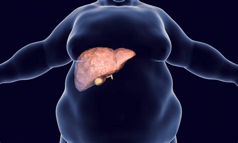 Study Suggests Cancer Drug May Be Effective Against Liver Disease