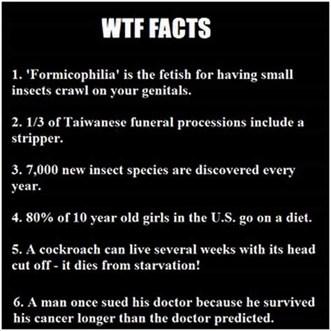 90 Facts Ideas Facts Fun Facts Weird Facts Vrogue