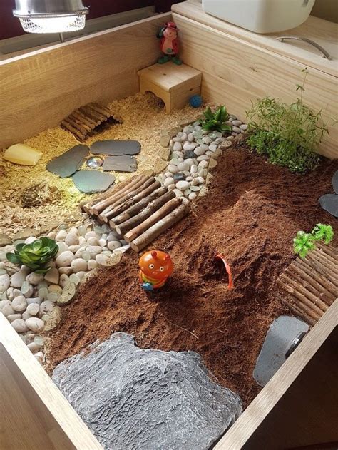 I built a tortoise table for my daughters christmas present, a russian tortoise that she had been asking for the last three years. Found on Bing from www.pinterest.com | Tortoise table ...