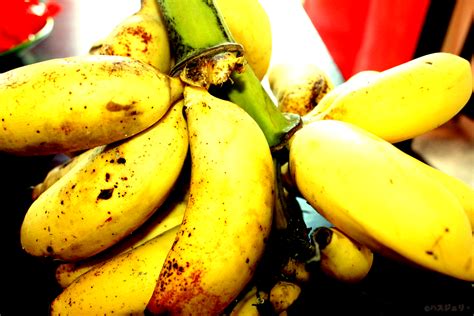 Haszelis Photos Buah Buahan Tempatan Pisang Malaysian Fruits Banana