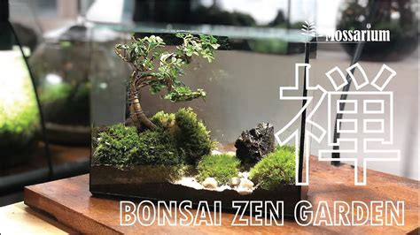 How To Make A Terrarium Bonsai Zen Garden Diy Pack Youtube