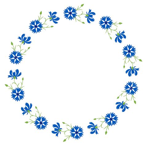 Bingkai Bulat Dengan Bunga Biru Mekar Bunga Jagung Botani Berbunga