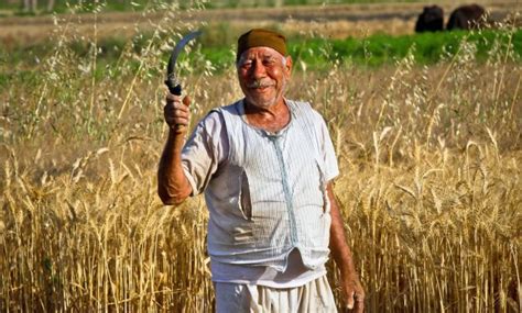 egypt secures financing for food security sustainable agriculture for 100m in 2020 egypttoday