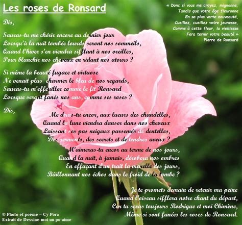 Les Roses De Ronsard