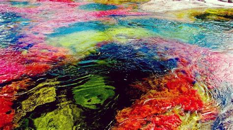 From 1989 to 2009, one of colombia's most spectacular natural wonders, caño cristales, was closed to tourism. Caño Cristales, na Colômbia: o rio de 5 cores é o mais ...