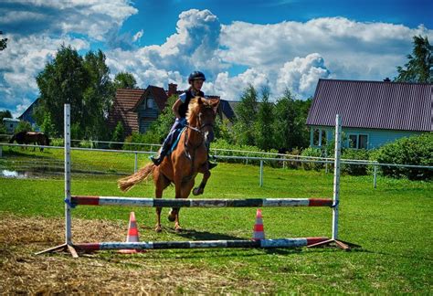 Ranczo ranch is a polish television comedy series, directed by wojciech adamczyk, that originally aired from march 25, 2006 to november 27, 2016 on tvp1. Ranczo MUSTAFA - Bobolin - Dąbki - noclegi, atrakcje ...
