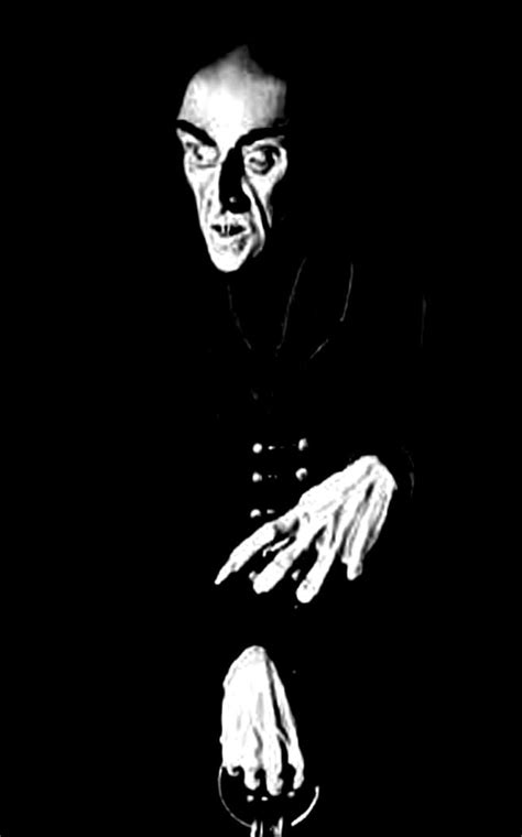 Picture Of Nosferatu