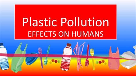 Plastics Everywhere Effects On Humans Youtube