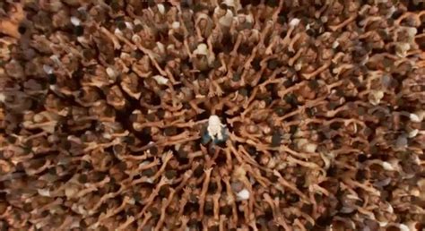 Daenerys Frees The Slaves Of Yunkai Game Of Thrones Filming Locations