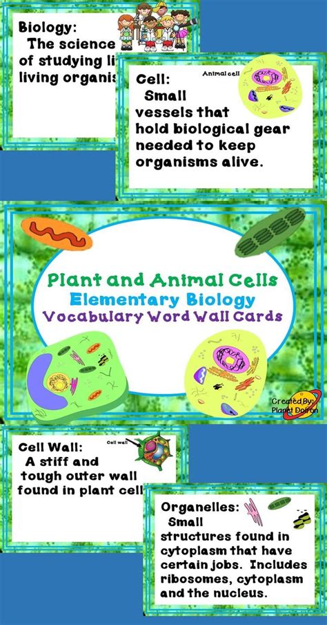 Vocabulary Word Wall Cards Elementary Biology Animal And Plant Cells