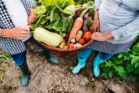 Food consumed in food deserts is often high in cholesterol, sugar, and fat. Cultivating Community: How One CCRC Is Tackling the Food ...