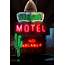 Neon Siesta Motel  Signs Vintage Cool