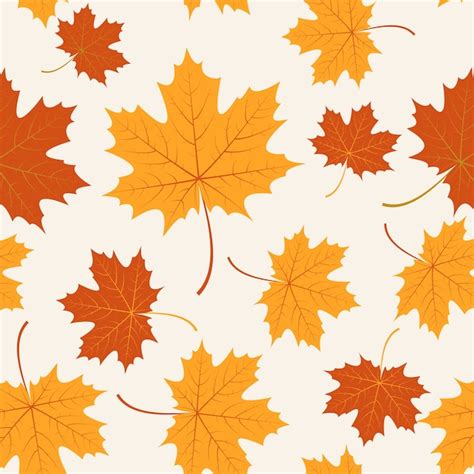 Maple Images Free Vectors Stock Photos And Psd