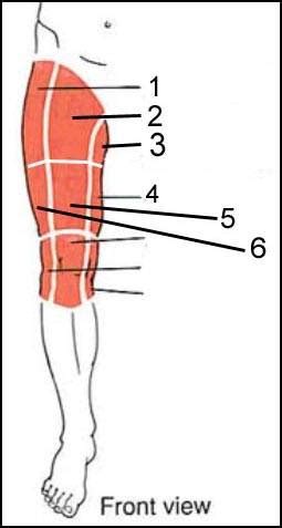 Check spelling or type a new query. THR - 5 months: help ... new groin pain | Joint ...
