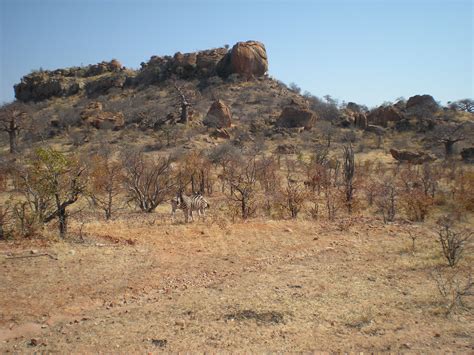 Mapungubwe National Park Limpopo South Africa Best Time To Visit