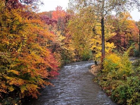 Fall Foliage Peak Map 2019 When Minnesota Autumn Leaves Are Best