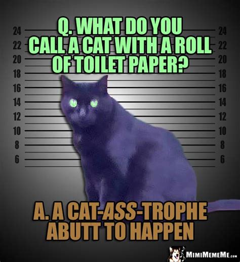 Criminal Cat Jokes Mugshot Kitty Riddles Illegally Funny
