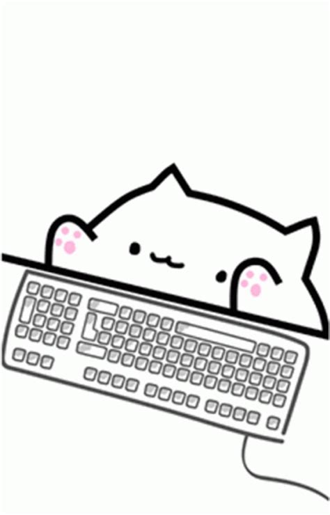 Naughty Cat Typing 