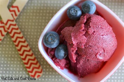 Blueberry Rhubarb Sorbet Recipe