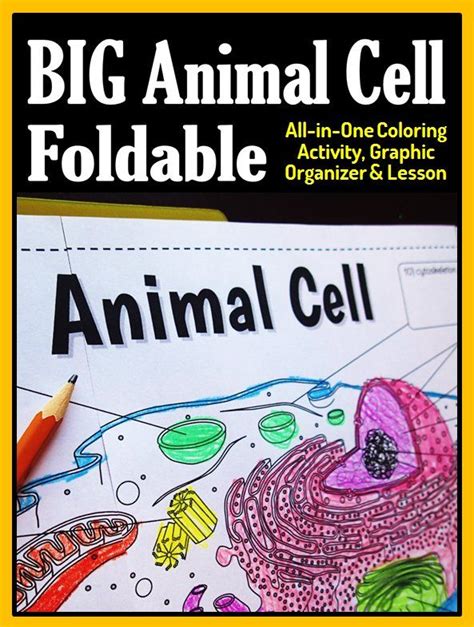 Gr7 12 Get Your Students To Love Learning About Cells With This Big