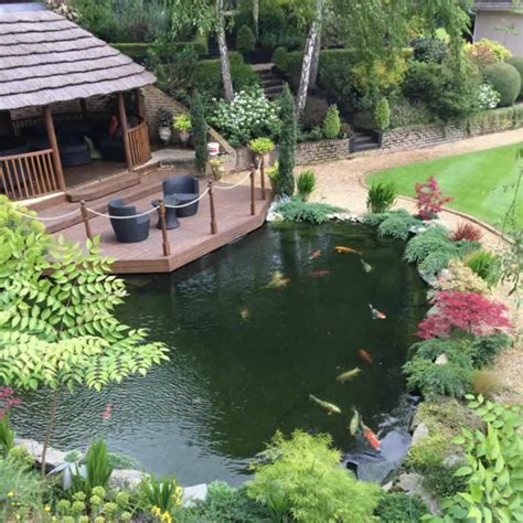Any areas shallower than 2 feet is an open invitation to dinner for both blue herons and raccoons. Garden Ponds & Water Features Client Gallery - Perfect Ponds