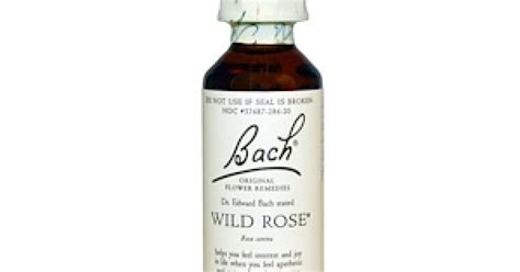 Wild Rose Bach Flower Remedy 20ml Rosa Canina Top Quality Herbs