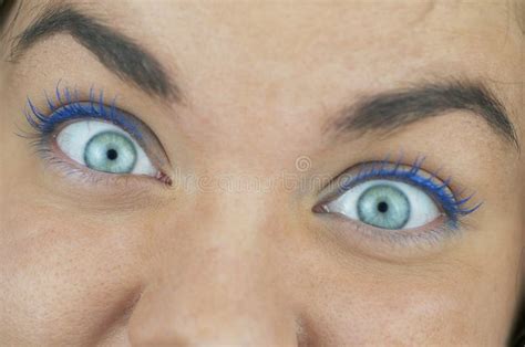 Surprised Blue Eyes Up Close Stock Image Image Of Wide Surprise