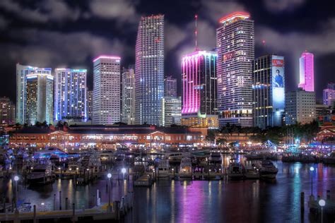 73 Miami Skyline Wallpaper Wallpapersafari